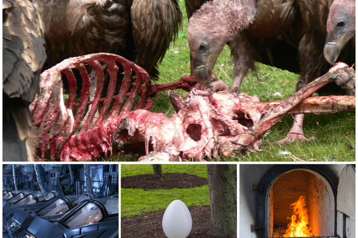 They let vultures eat their dead, and 4 other funeral methods around the World