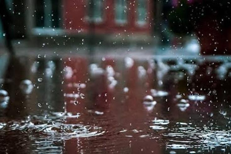 How to deal with August's consistent rainfall without falling sick
