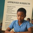 From primary to senior secondary: Full list of approved subjects in Nigeria’s new curriculum