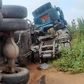 Trailer carrying cows and passengers collides with car in Katsina, 9 dead, 21 injured