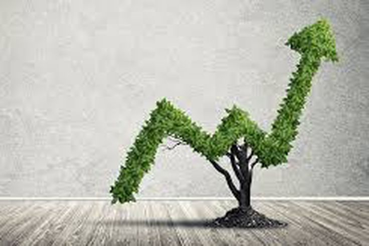 7 Examples of Nigerians turning policy changes into growth opportunities