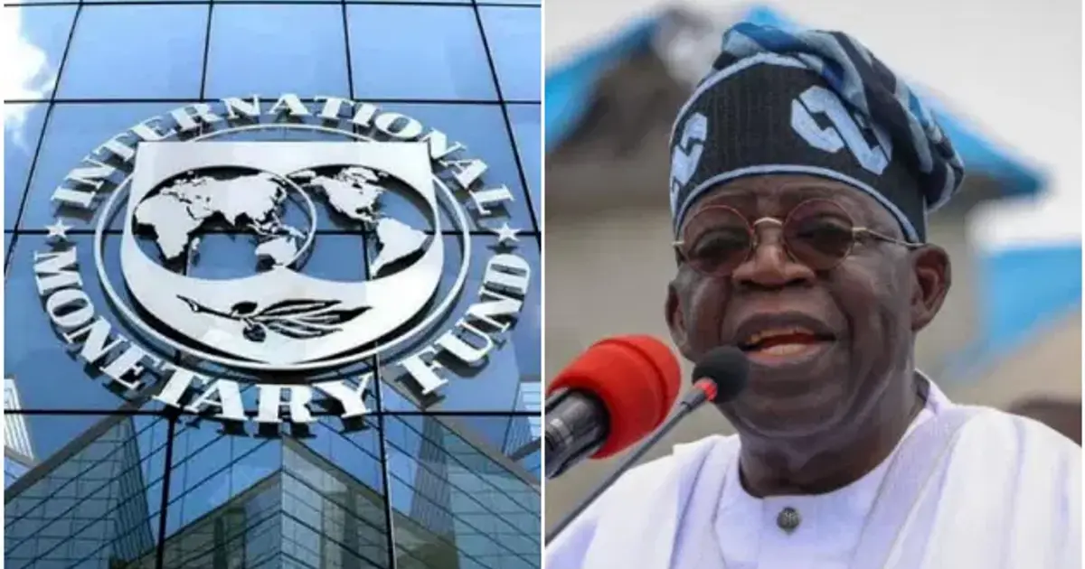 IMF cautions Tinubu government over $5bn loan plan