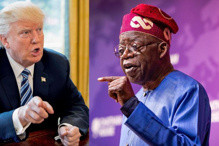 A combo of Nigerian President Bola Tinubu (L) and US President Donald Trump (R)