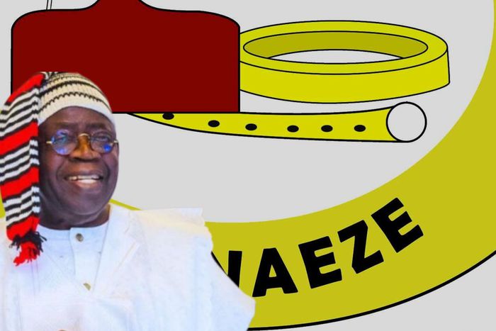 Ohanaeze splits as faction backs Tinubu's re-election, lauds South-East projects