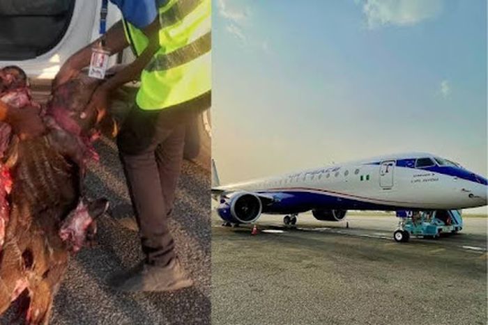 Flight disrupted as Air Peace aircraft hits antelope on runway