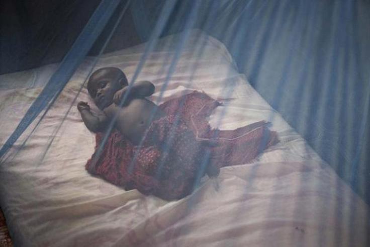 Nigeria starts making ‘double-action’ mosquito nets that can kill resistant mosquitoes — here’s how they work