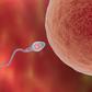 5 male fertility myths you should stop believing