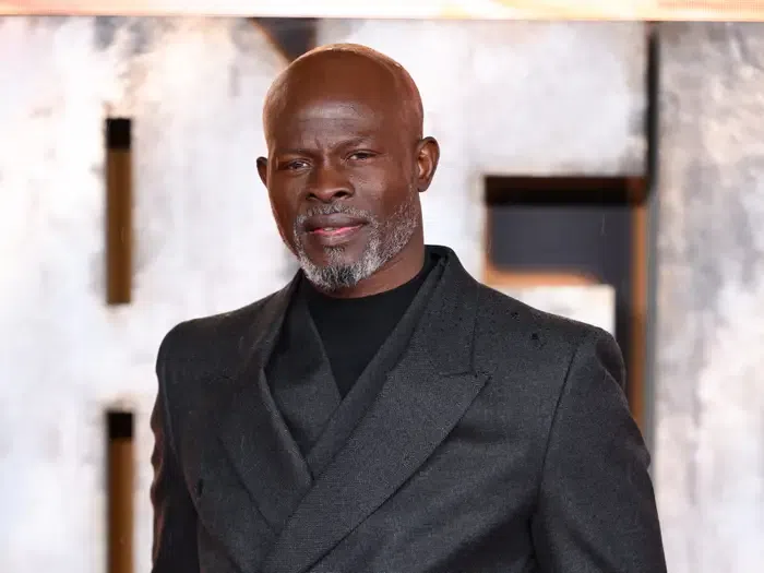 Hollywood actor, Djimon Hounsou laments financial struggles, cites racism