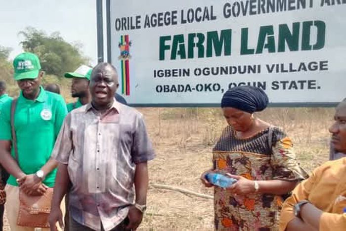 Lagos LG chairman secures 50-acre farmland in Ogun to boost food production