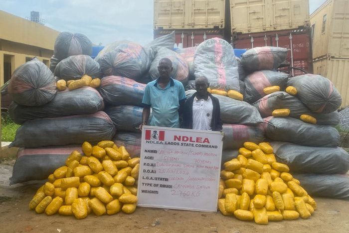NDLEA seizes 6 vehicles, 40ft trailer load skunk in Abuja