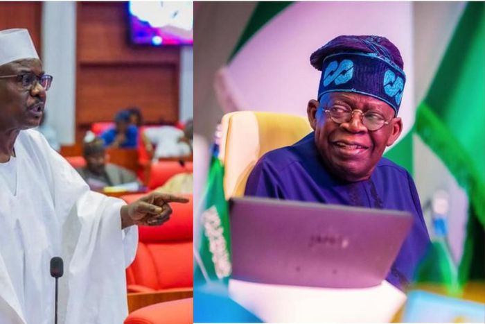 Bola Tinubu and Ali Ndume [Facebook]