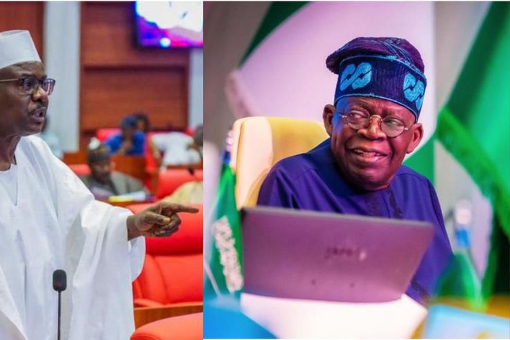 Bola Tinubu and Ali Ndume [Facebook]