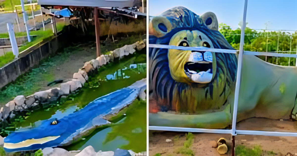 Family pays ₦500 each to see cement animals at Yola zoo