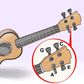How to tune a ukulele as a beginner