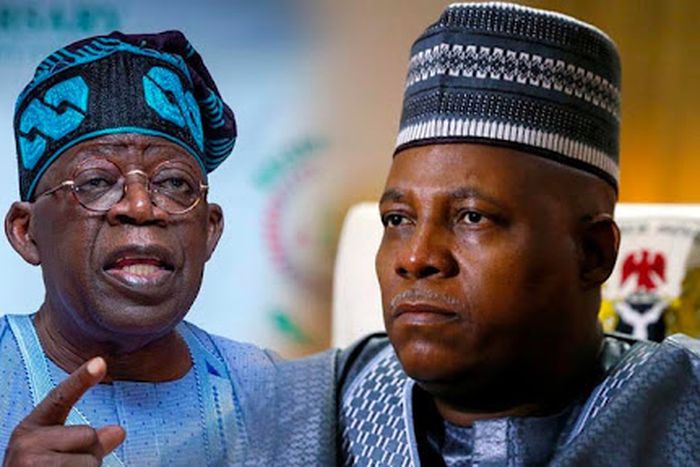 Presidency reacts as Tinubu, Shettima's 2027 campaign billboards flood Abuja, Kano