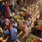 774 LGAs, one food bank: can the government actually pull this off without the usual ‘Nigerian factor’?