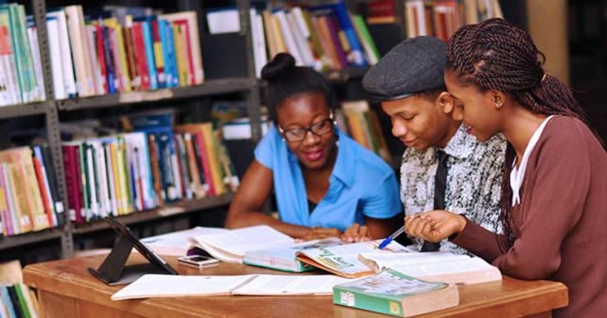 Economic hardship or preference for Nigerian universities: Should Tinubu’s government take credit for reduction in Japa numbers?