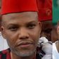 Garba Shehu’s confession over Buhari's health vindicated Nnamdi Kanu - IPOB
