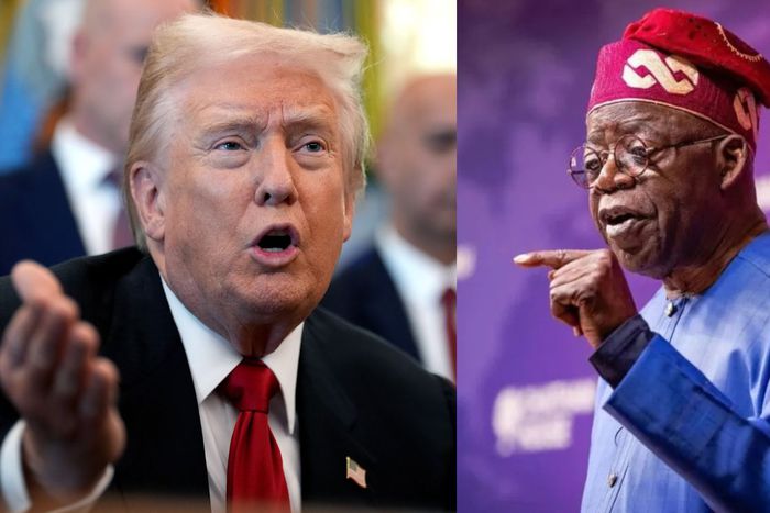 Nigerian Professionals in Europe Report Trump to EU Over US Military Threat