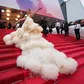 Cannes 2025: Naked dresses, voluminous gowns, and trains banned ahead of 78th film festival