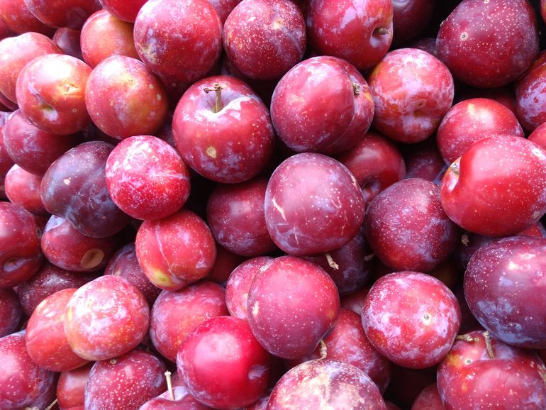 plums
