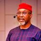 "Chief of Staff isn't an employment agency" — Osita Chidoka says Nigeria has a big problem if this appointment letter is genuine (see video)