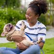 6 questions to ask yourself before buying a pet
