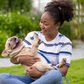 6 questions to ask yourself before buying a pet