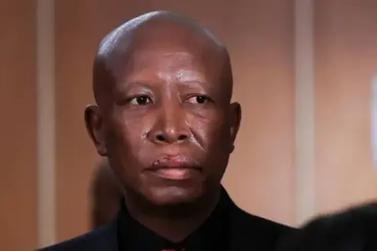 South Africa's opposition leader Julius Malema sentenced to five years in prison over gun incident