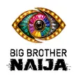 Big Brother Naija Season 11 premieres July 26 with ₦160 Million grand prize