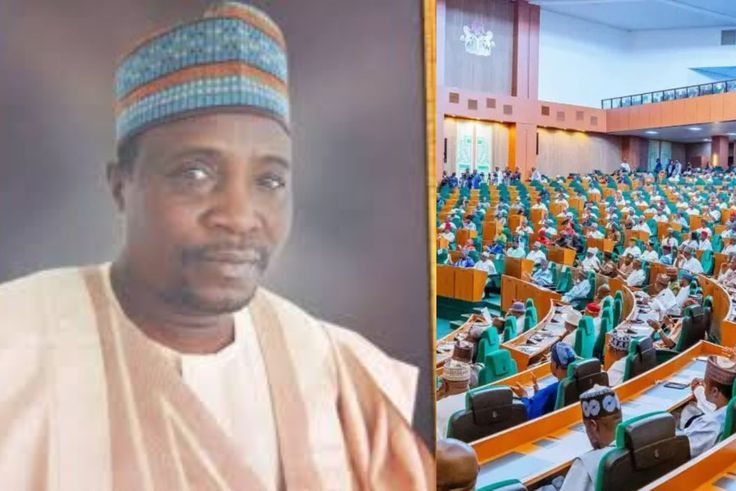 APC lawmaker says Rep members pay about N3m each to present bills, motions
