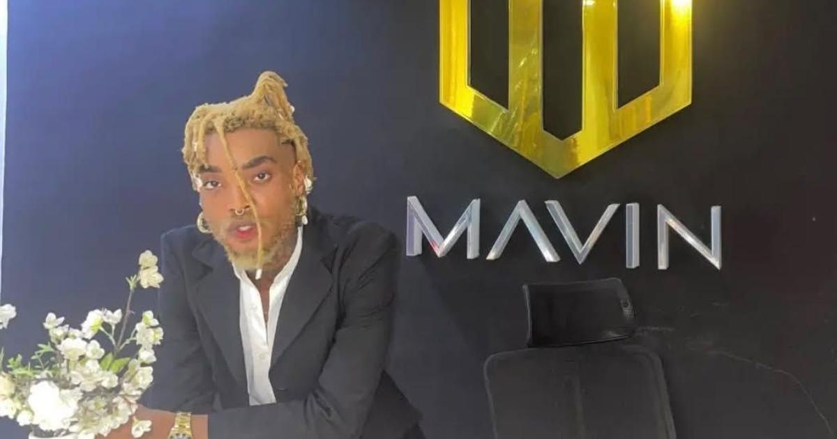 Mavin Records Issues Disclaimer Against Lotanna Harry | Pulse Nigeria