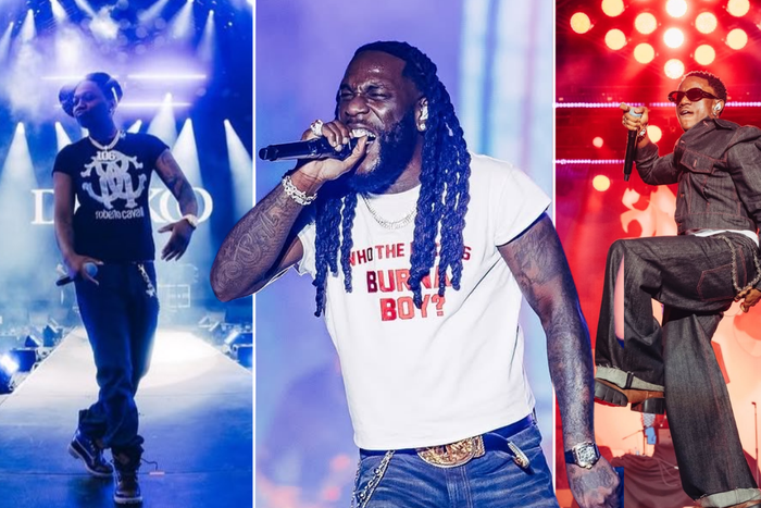 Burna Boy Makes History in New Zealand at the Afrosoul Festival