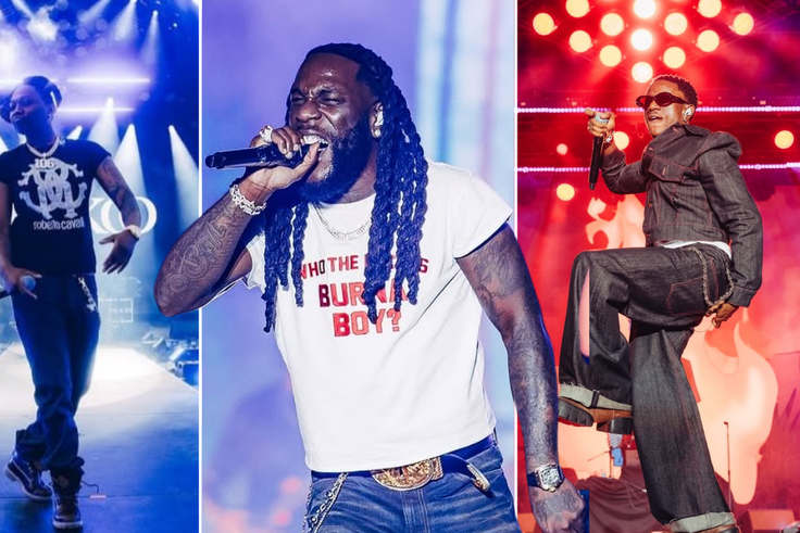 Burna Boy Makes History in New Zealand at the Afrosoul Festival