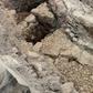 Archaeologists discover ancient path that Jesus walked to his crucifixion on the cross 2,000 years later
