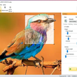 SoftOrbits — where complex photo editing becomes simple
