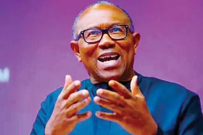 Labour Party presidential candidate in 2023, Peter Obi