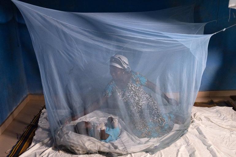 Sleep in a net always to reduce chances of getting bitten