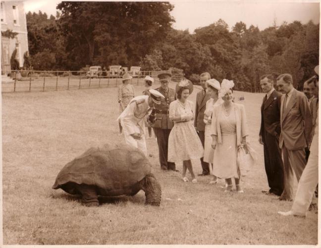 A look back into history: A young Queen Elizabeth II and the British Royal Family meeting Jonathan during a historic visit to Saint Helena.