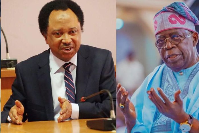 Why Tinubu will remain unpopular - Shehu Sani