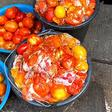 Why cooking with rotten tomatoes can kill you