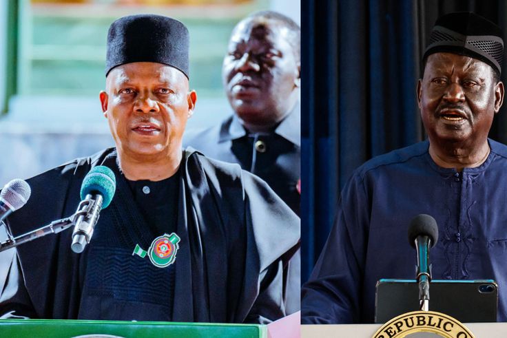 ICAD 2025: VP Shettima, ex-Kenyan PM to lead talks for 'Afro-Democracy' in Abuja
