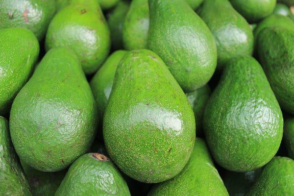 Entertainment news Celebrity gossip Movie and TV show updates Latest celebrity news Trending entertainment stories Unripe Avocados