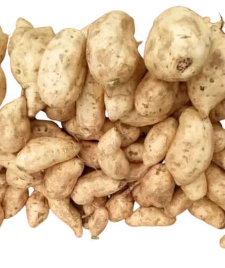 Entertainment news Celebrity gossip Movie and TV show updates Latest celebrity news Trending entertainment stories Potatoes