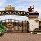 Alaafin’s ‘420-year-old’ tortoise is dead — but how old was Baba really?