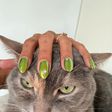 cat-eye-nails