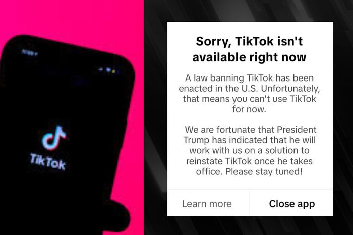TikTok officially goes dark for users as the US ban takes effect