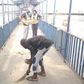 Lagos hoodlums forced to sweep pedestrian bridge for defecating on it