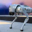 Mexico’s 2026 World Cup Security Includes Robot Dogs
