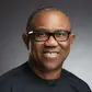 2027 elections: Obi becomes sole NDC presidential aspirant; party extends legislative form sales 